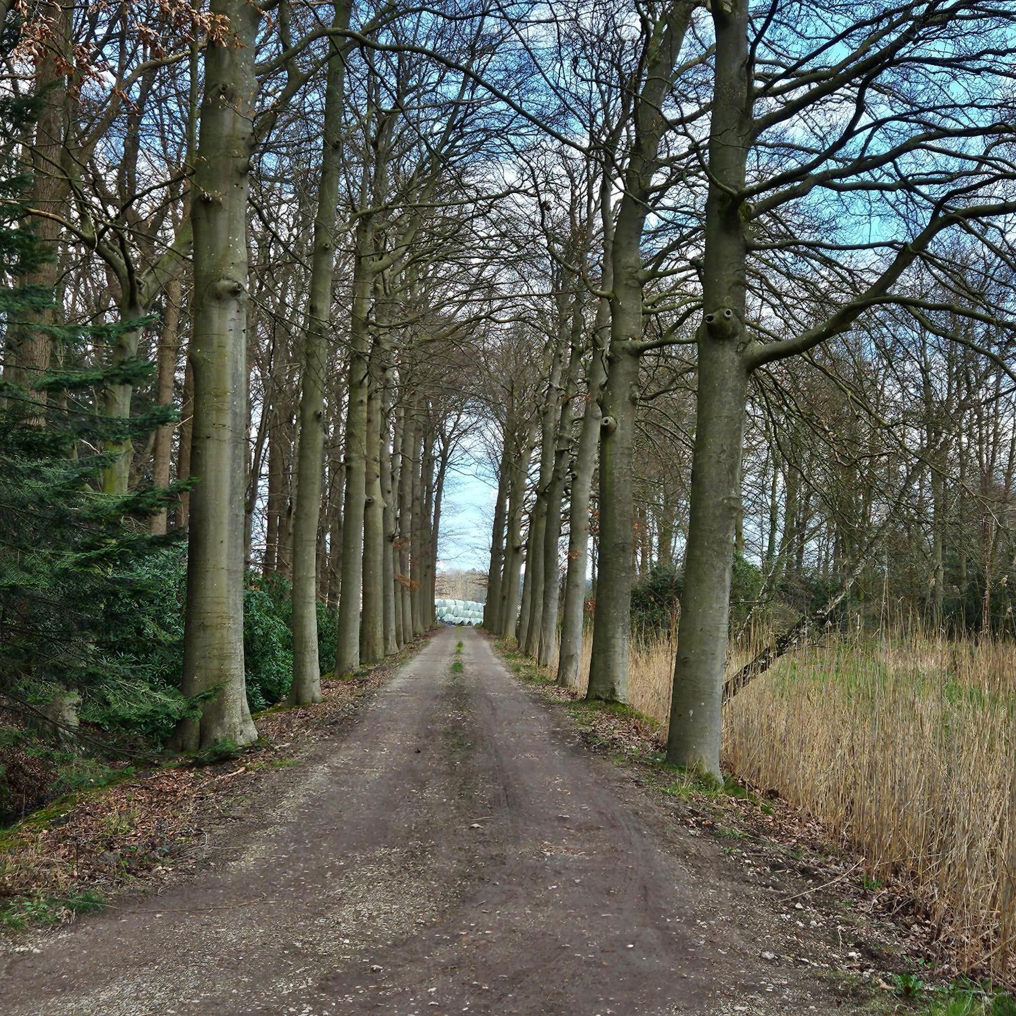 Holiday Home Countryside, Langbroek / Doorn Exterior foto