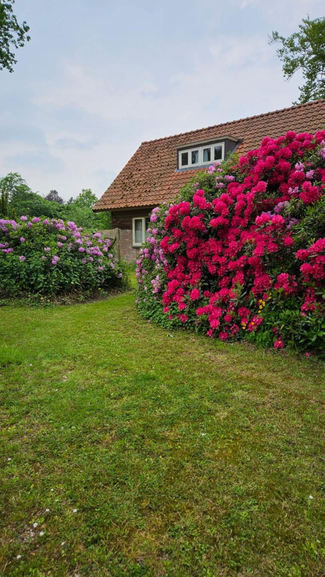 Holiday Home Countryside, Langbroek / Doorn Exterior foto
