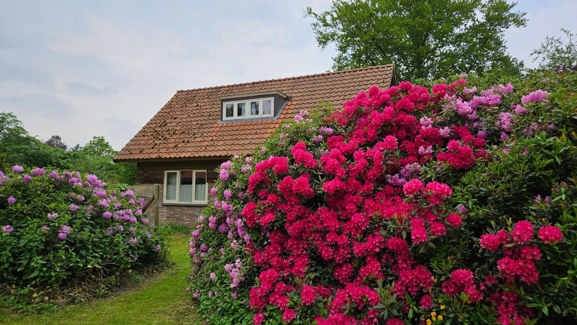 Holiday Home Countryside, Langbroek / Doorn Exterior foto